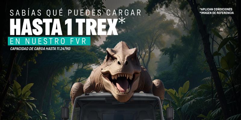 Terminos y condiciones Campaña Camiones mes de Junio