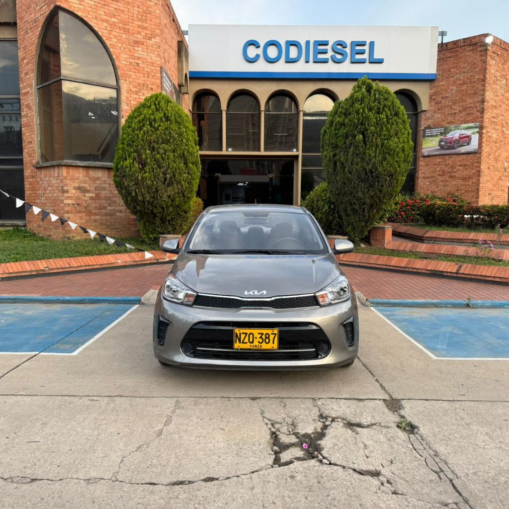 SOLUTO EMOTION MT 14 2025 NZQ387_2