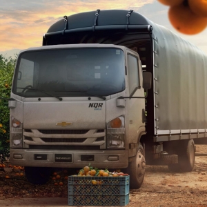 CAMIÓN CHEVROLET NQR EVI_1